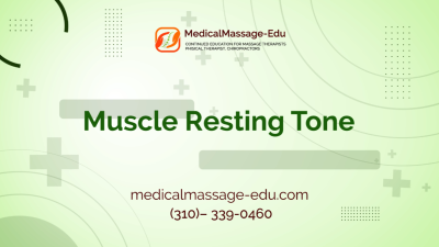 Muscle Resting Tone